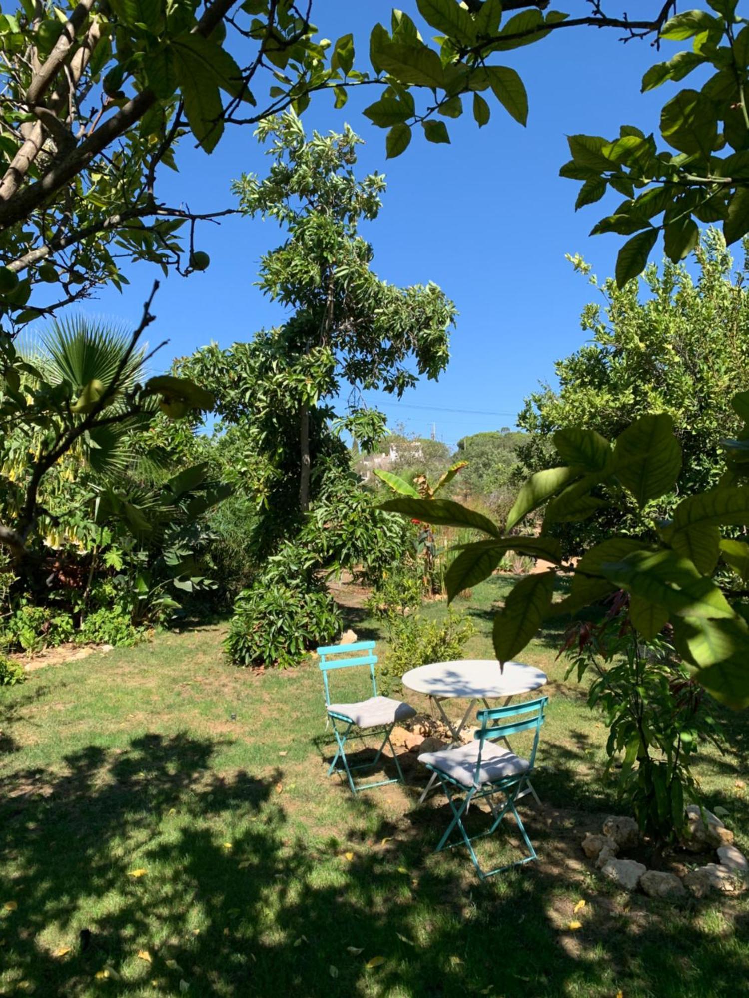 A Tranquil Garden Apartment, Carvoeiro - Benagil Buitenkant foto