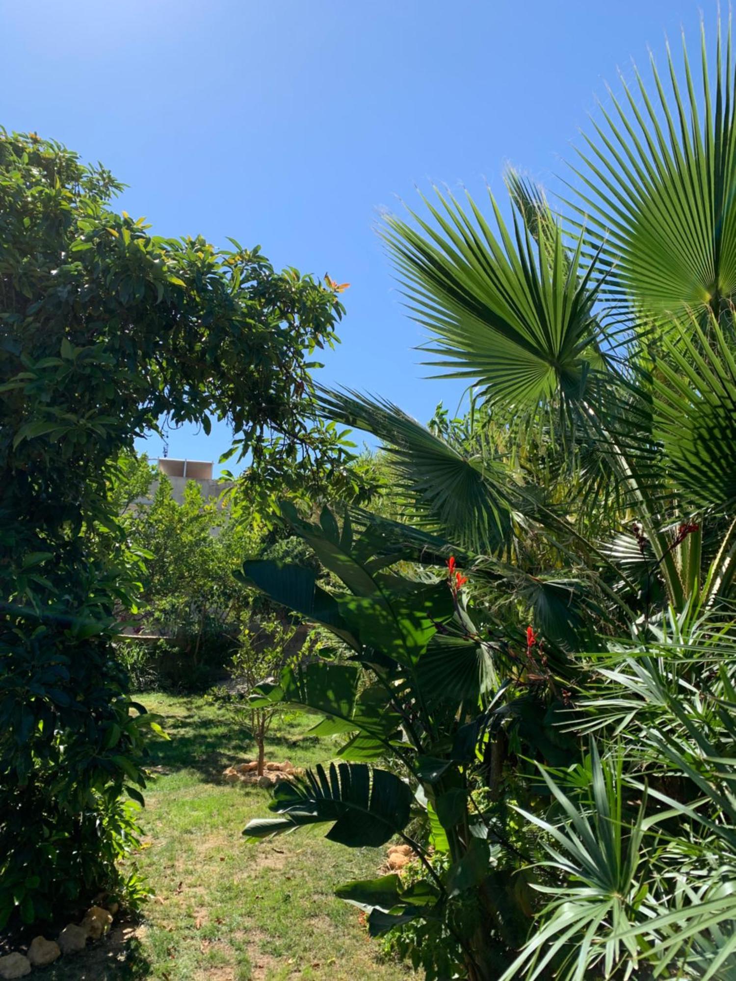 A Tranquil Garden Apartment, Carvoeiro - Benagil Buitenkant foto