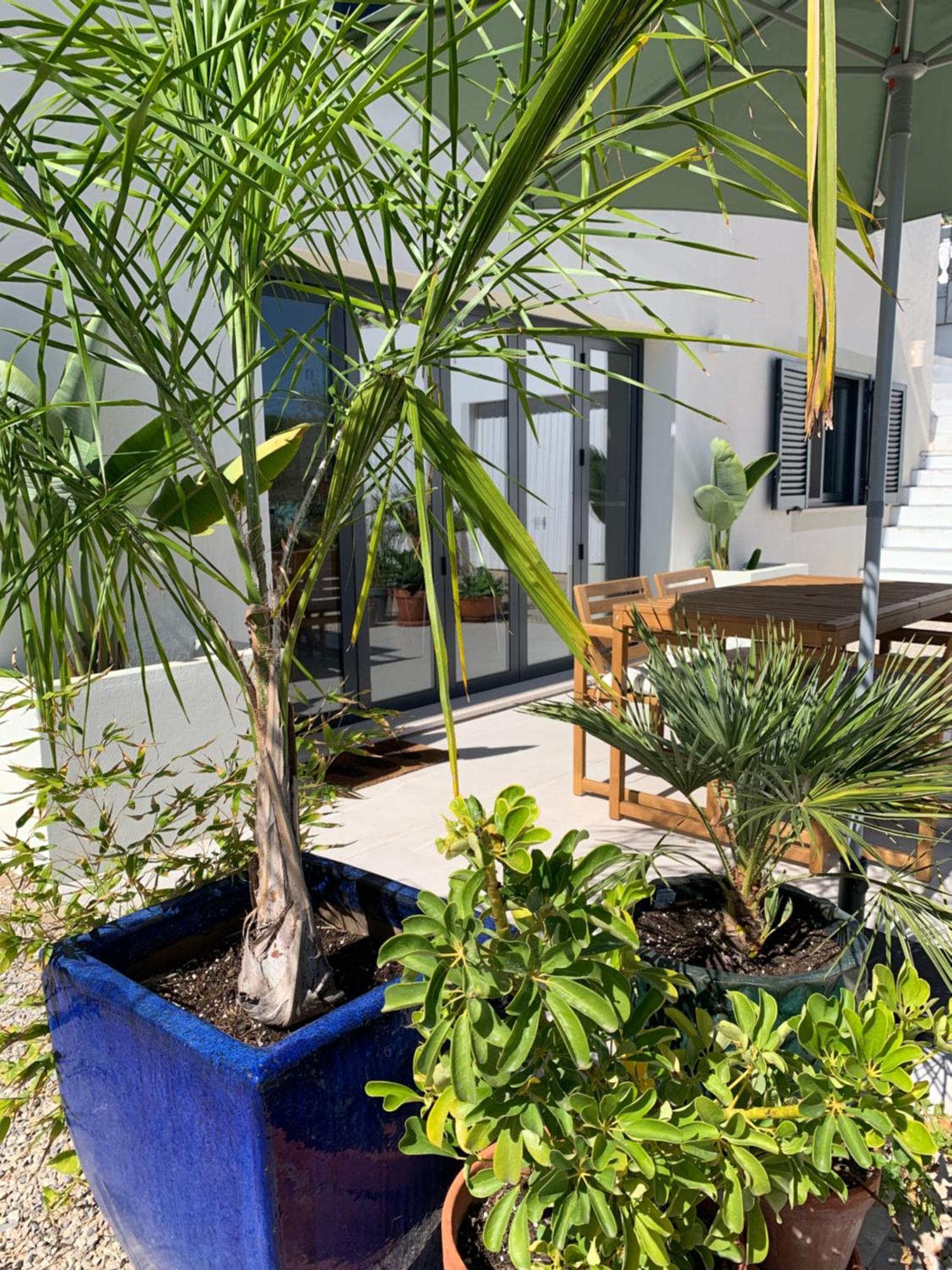 A Tranquil Garden Apartment, Carvoeiro - Benagil Buitenkant foto